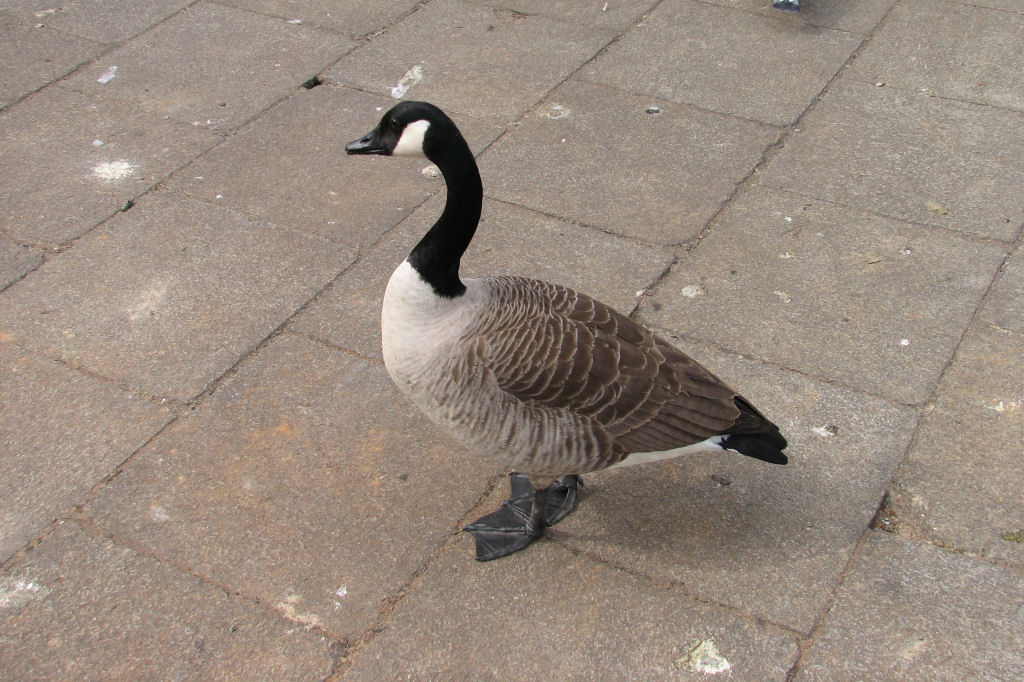 ruhr090512-36.jpg