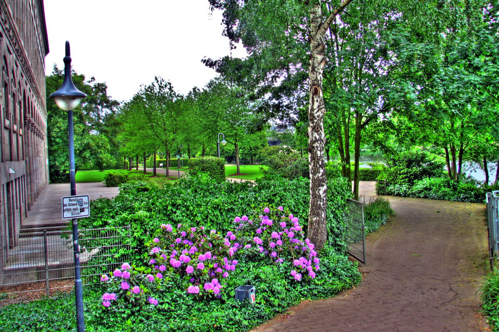HDR
