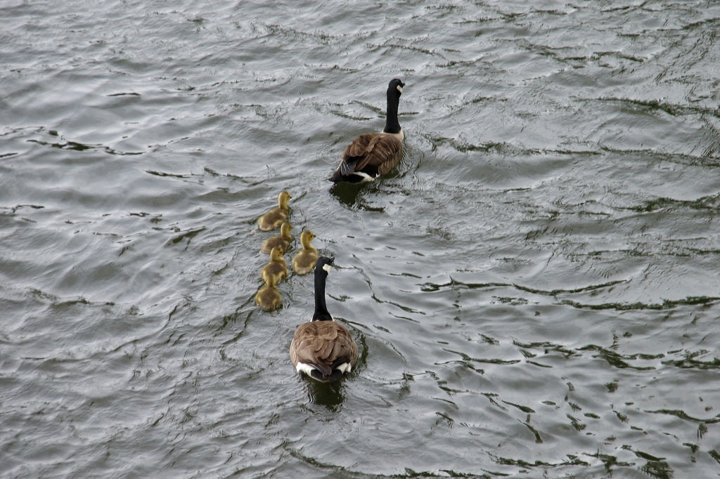 ruhr090512-57.jpg