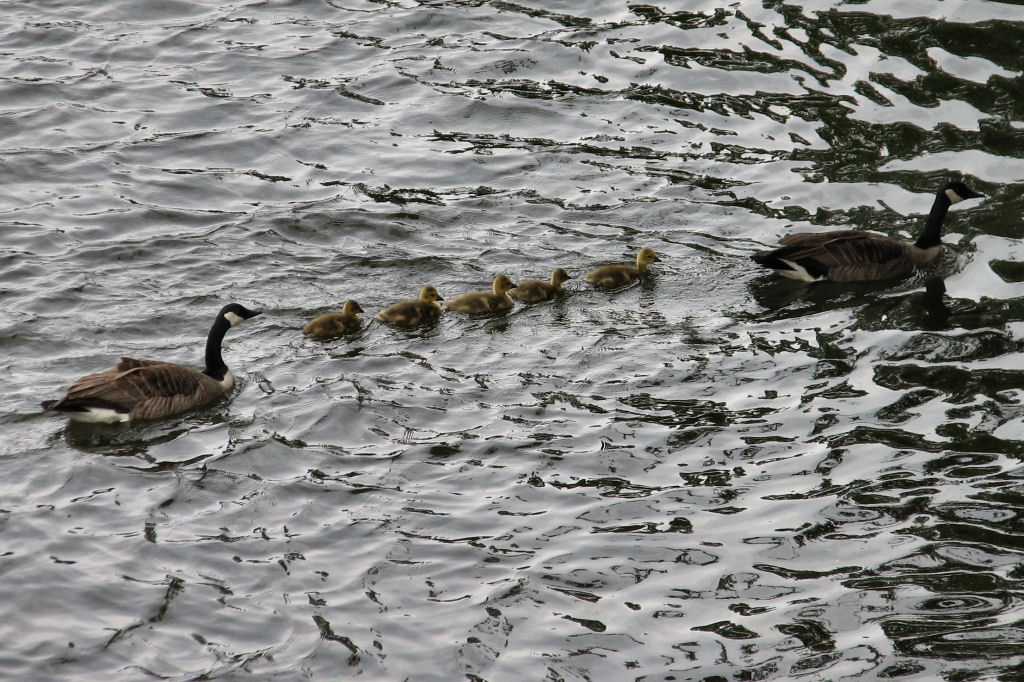 ruhr090512-59.jpg