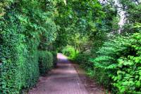 ruhr090623-36.jpg