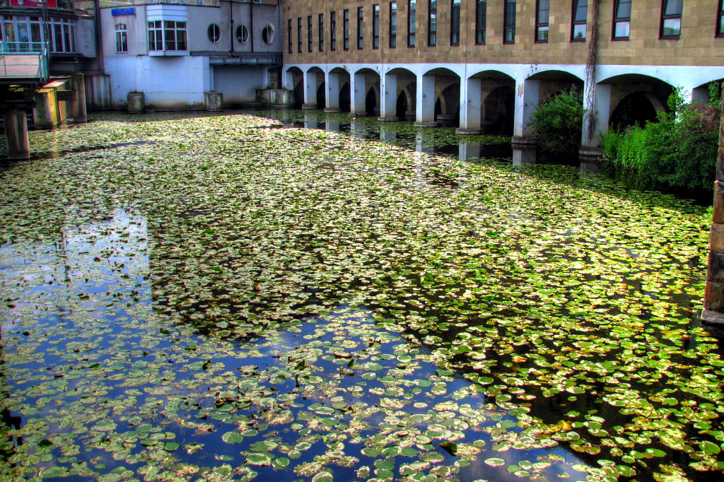ruhr090623-14.jpg