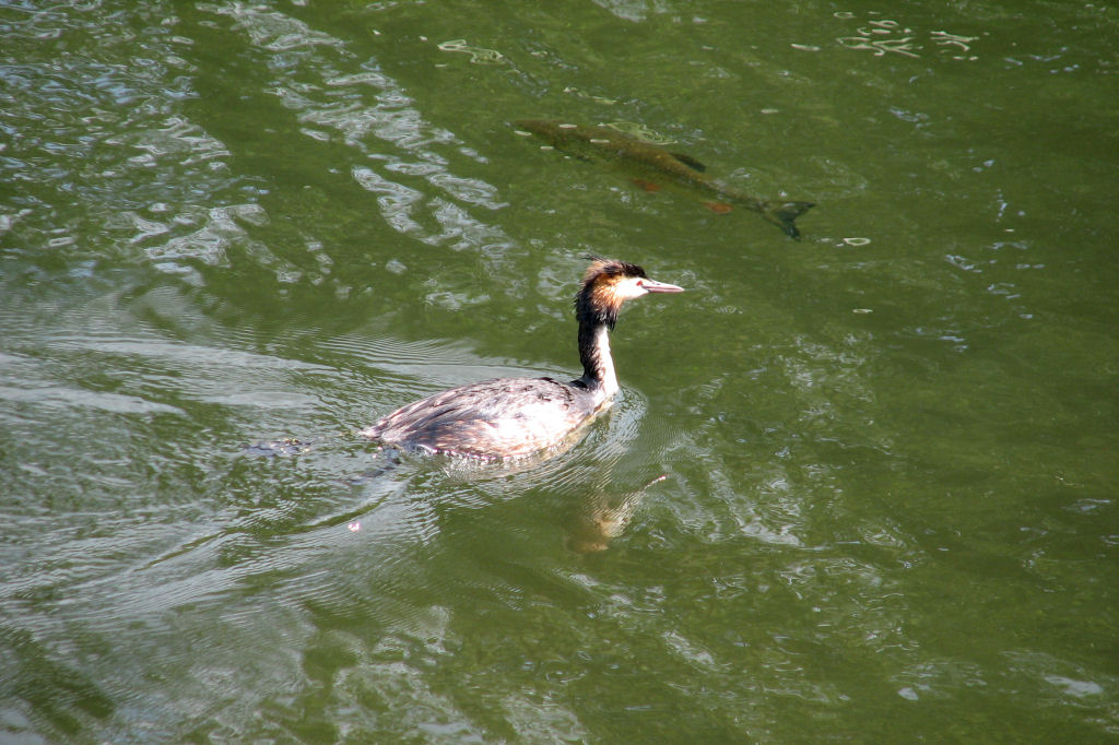 ruhr090623-17.jpg