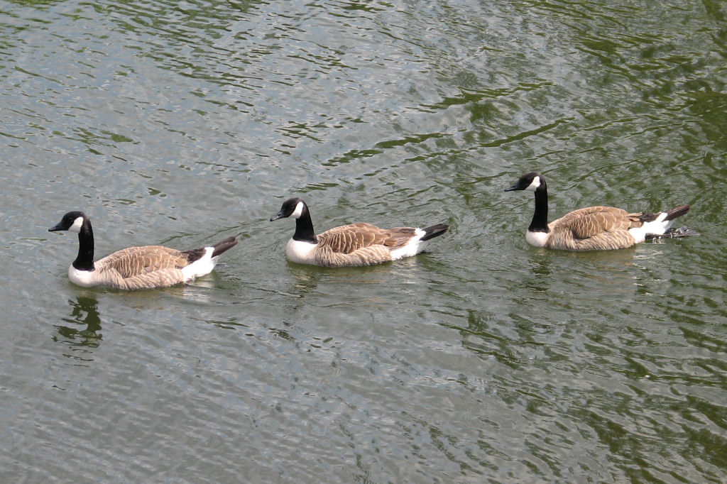 ruhr090623-19.jpg