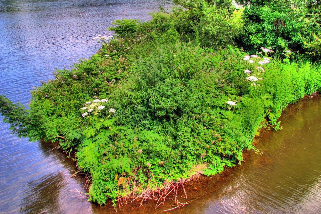 ruhr090623-21.jpg