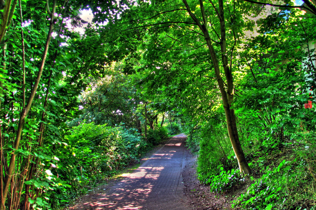 ruhr090623-32.jpg