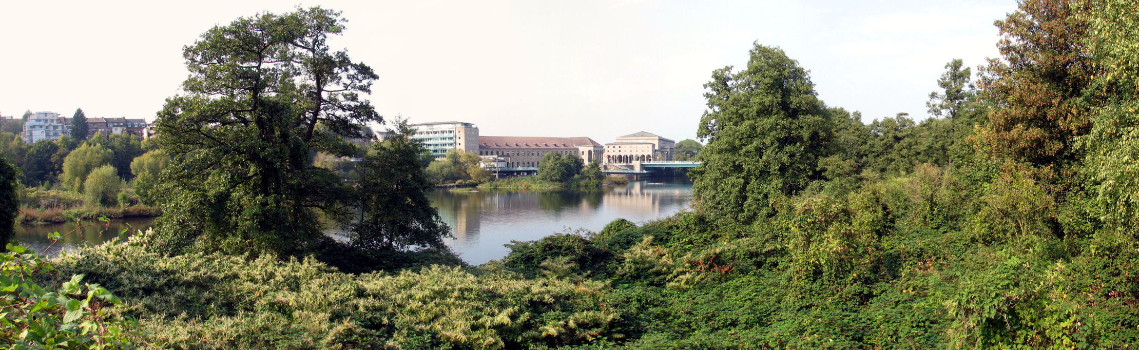 Panorama
