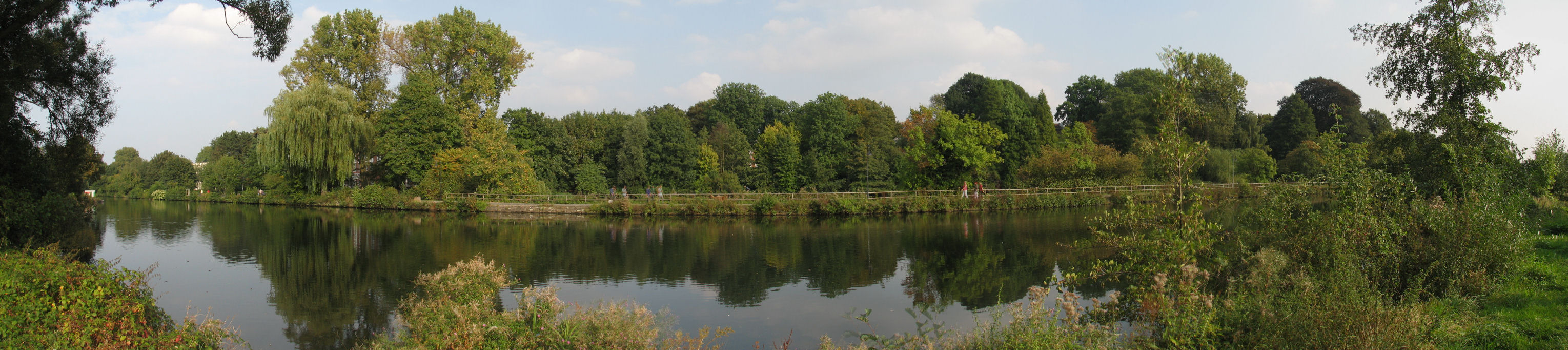 Panorama
