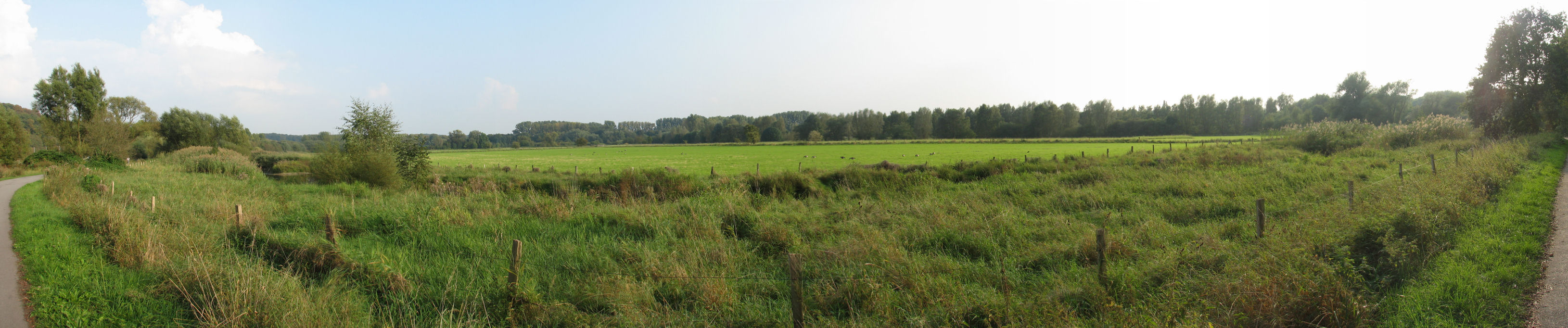 Panorama
