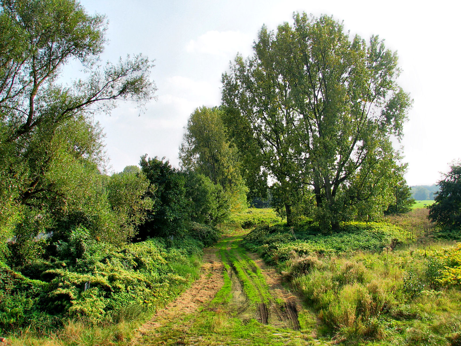 ruhr090919r-018.jpg