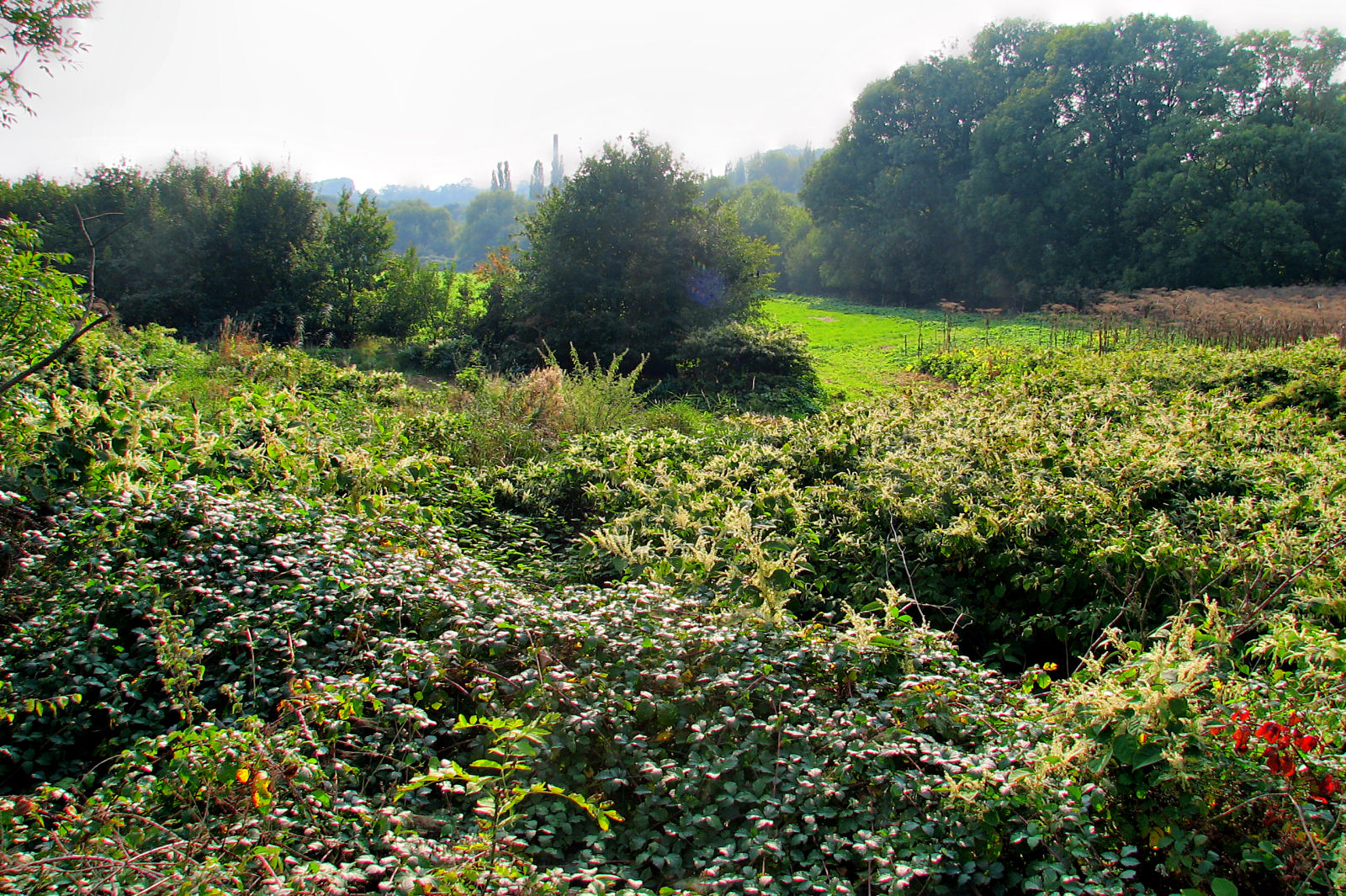 ruhr090919r-030.jpg