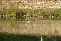 ruhr140402-009.jpg