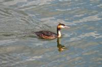 riverviews039-090623.jpg