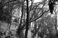 schnee040228-002.jpg