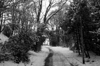 schnee040228-003.jpg