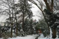 schnee040228-005.jpg