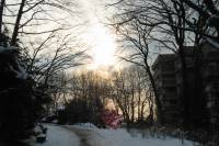 schnee040228-006.jpg