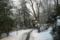 schnee040228-008.jpg