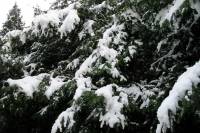 schnee040228-011.jpg