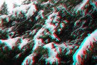 schnee040228-012-3D.JPG