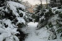 schnee040228-015.jpg