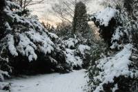schnee040228-019.jpg
