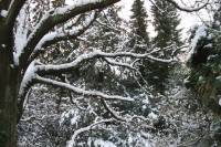 schnee040228-023.jpg