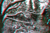 schnee040228-024-3D.JPG