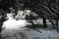 schnee040228-025.jpg