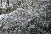 schnee040228-026.jpg