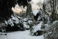 schnee040228-027.jpg