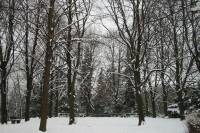schnee040228-034.jpg