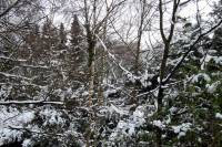 schnee040228-037.jpg