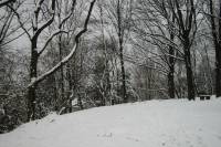 schnee040228-039.jpg