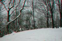 schnee040228-040-3D.JPG