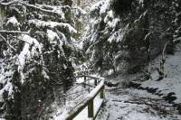schnee040228-041.jpg