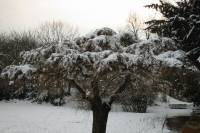 schnee040228-052.jpg