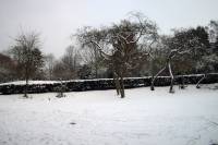 schnee040228-053.jpg