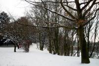 schnee040228-056.jpg
