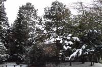 schnee040228-059.jpg