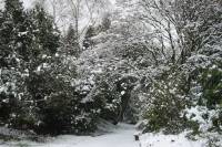schnee040228-065.jpg