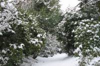 schnee040228-066.jpg