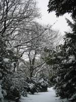 schnee040228-067.jpg