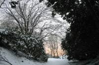 schnee040228-068.jpg