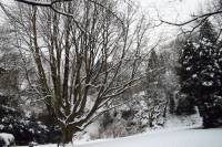 schnee040228-069.jpg