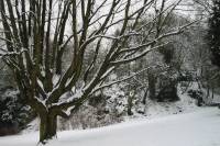 schnee040228-070.jpg