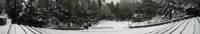 schnee040228-072pan.jpg