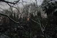 schnee040228-074.jpg