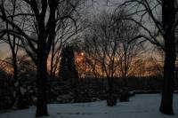 schnee040228-077.jpg