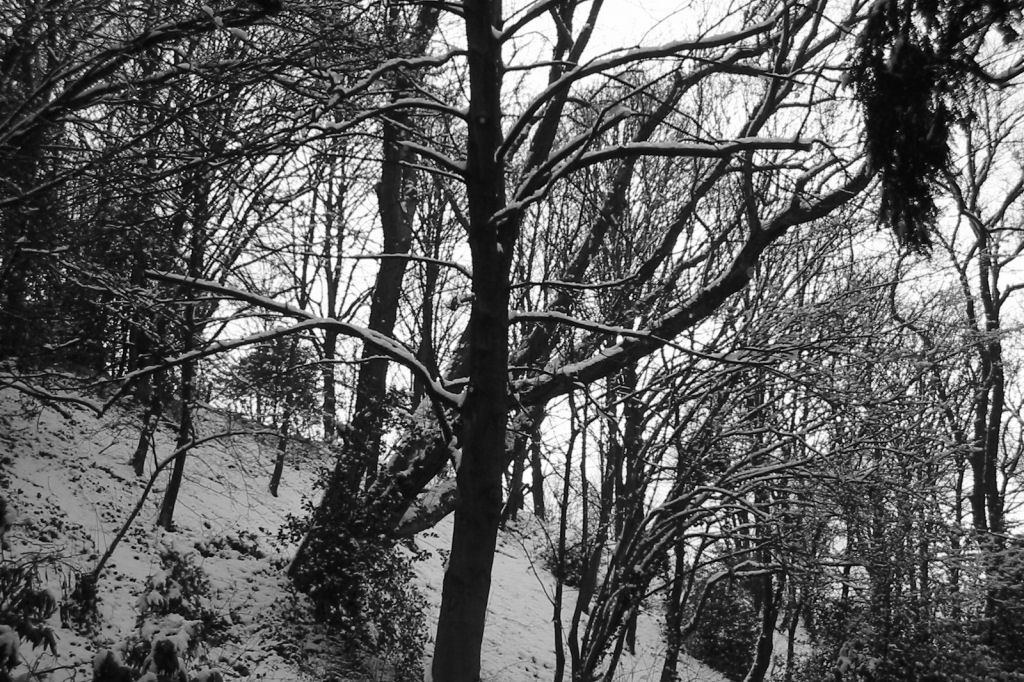 schnee040228-002.jpg